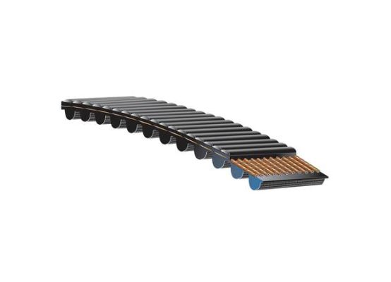 Ozubený řemen POLY CHAIN Carbon 8MGTC 640 - 36 Gates