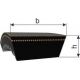 Variátorový řemen Agro HM 50x22x3910 Li/ 4000 Lw Farm Belt Rubena