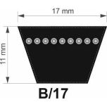 Profil 17B