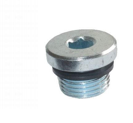 Hydraulické šroubení BSP - zátka VSTI G1/4 A N
