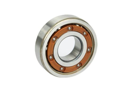 Jednořadé kuličkové ložisko SLF 6007TB.P63